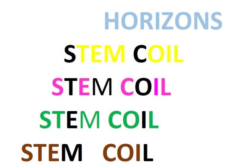 STEM COIL project logo